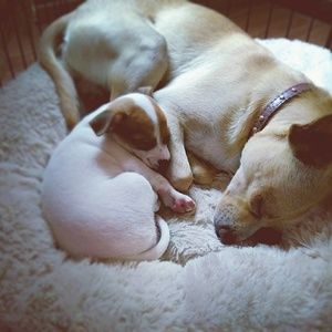 Meet your Posher, Natasha